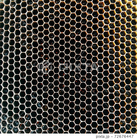 hexagon structure is honeycomb from bee hive filled with golden honey 72676447