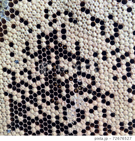 hexagon structure is honeycomb from bee hive filled with golden honey 72676527