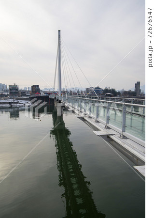 川 河 植物 72676547