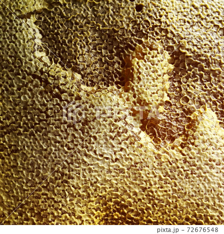 hexagon structure is honeycomb from bee hive filled with golden honey hexagon structure is honeycomb from bee hive filled with golden honey 72676548