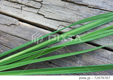 Green grass on  the background of old wooden gray board 72676767