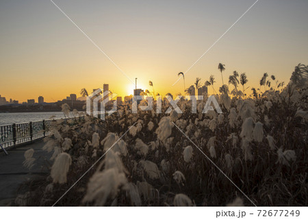 韓国 現代建築 夕焼け 72677249