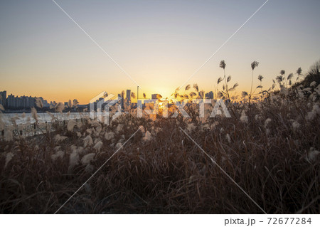 韓国 現代建築 夕焼け 72677284