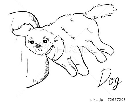 クッションに横たわる犬の白黒手書きイラストイメージのイラスト素材