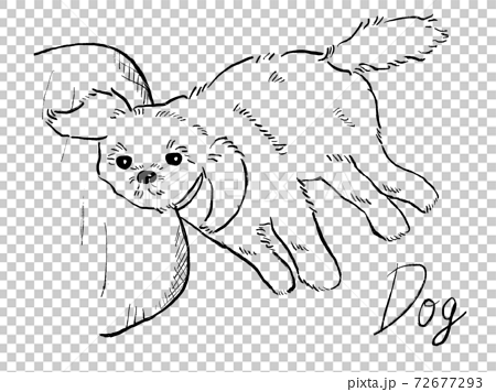 クッションに横たわる犬の白黒手書きイラストイメージのイラスト素材