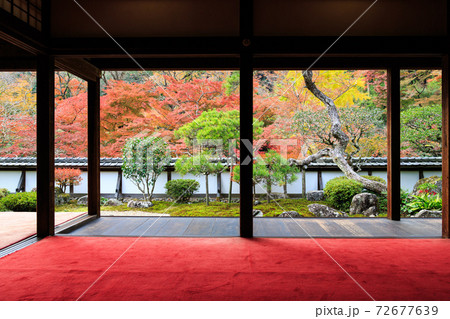 正暦寺 (2012/11/20撮影) 正暦寺 (2012/11/20撮影) 72677639