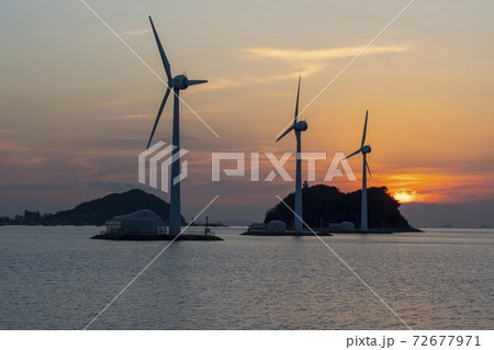 屋外 室外 自然 72677971