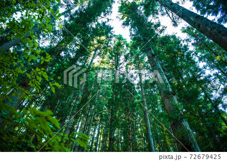 秋保大滝 秋保大滝 72679425