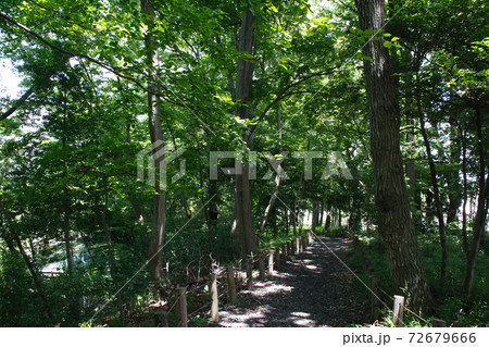 さぎ山記念公園にて（埼玉県さいたま市緑区） 72679666