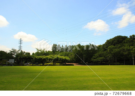 さぎ山記念公園・芝生広場（埼玉県さいたま市緑区） 72679668