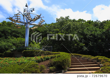 さぎ山記念公園にて（埼玉県さいたま市緑区） 72679670