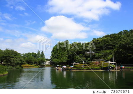 さぎ山記念公園・修景池にて（埼玉県さいたま市緑区） 72679671