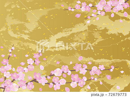 装飾背景-桃と金箔 72679773