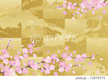 装飾背景-桃と金箔 72679775