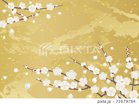 装飾背景-白梅と金箔 装飾背景-白梅と金箔 72679784