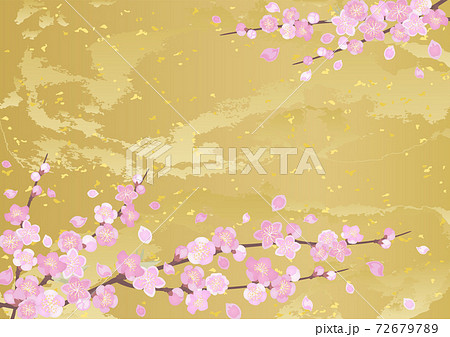 装飾背景-桃と金箔 72679789