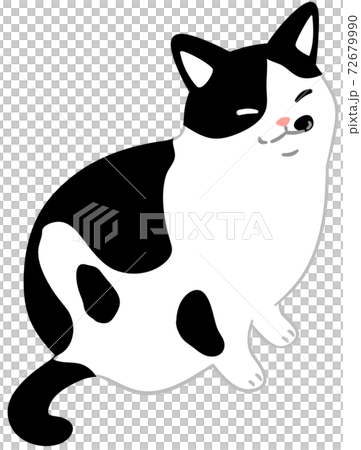 帶有背面圖案的貓（帶主線） 72679990