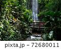 Jurong Bird Park Waterfall Aviary, one of the world's tallest man-made, indoor waterfalls 72680011