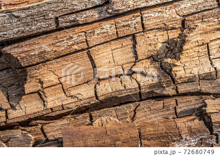 Old rotten wood with cracks and spore fungus. White mold on a wooden board. Pattern of mold on the wood, background or texture. 72680749