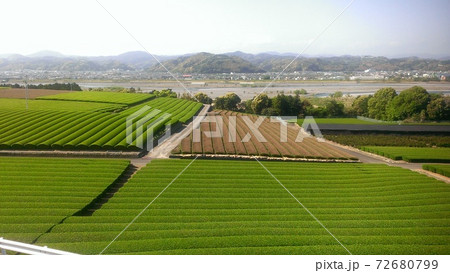 日本茶の日本三大名産地である静岡県の牧之原台地の茶畑風景。 日本茶の日本三大名産地である静岡県の牧之原台地の茶畑風景。 72680799