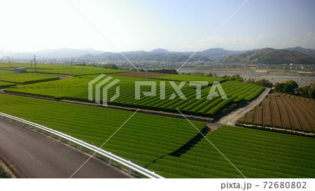 日本茶の日本三大名産地である静岡県の牧之原台地の茶畑風景。 72680802