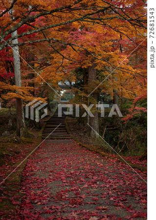 龍穏寺 紅葉夜明け 72681543