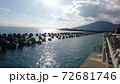 真冬の駿河湾に注ぐ太陽。 72681746