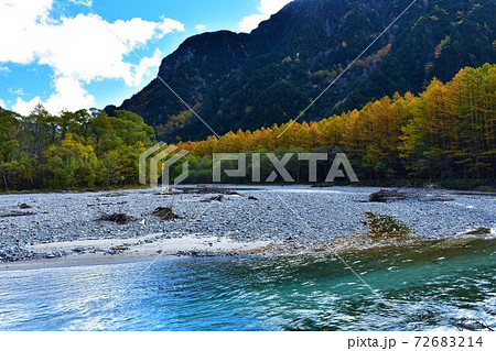 秋のカラマツ 72683214