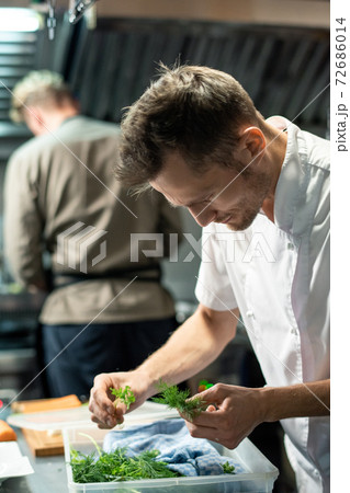 Young professional male chef bending over plastic container with fresh greenery 72686014