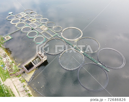 Aerial wide angle view to the landscape with calm waves and salmon fish industry farm circle fences above the water surface. Fish farming or pisciculture concept 4K footage 72686826