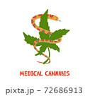 Snake with marijuana. Logo for medical cannabies 72686913
