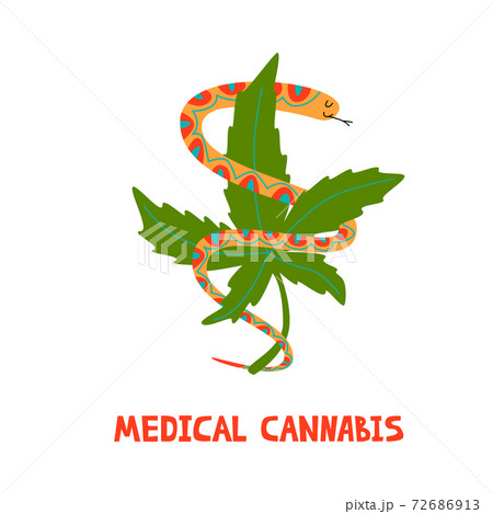 Snake with marijuana. Logo for medical cannabies 72686913