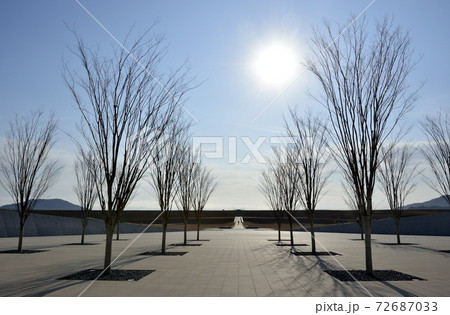 公園の木立 72687033