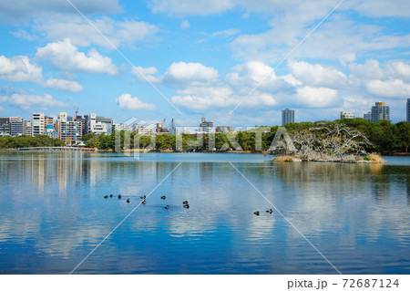 大濠公園 72687124