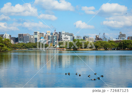 大濠公園 72687125