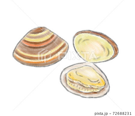 色鉛筆タッチ　ハマグリの手描きイラスト 72688231
