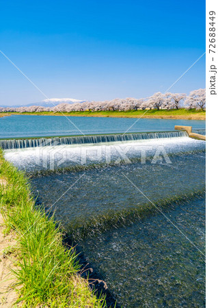 東北の桜の名所　一目千本桜　【宮城県】 72688449