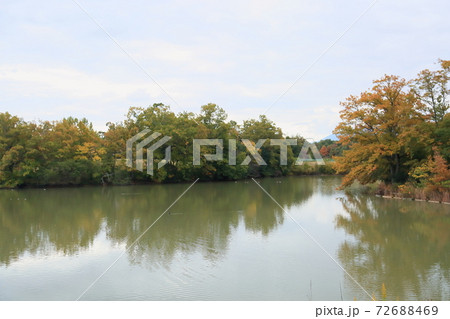 秋の公園 色づく雑木 秋の公園 色づく雑木 72688469