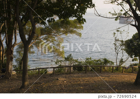 1 Jan 2006 the landscape of Plover Cove Country Park 72690524