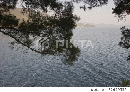 1 Jan 2006 the landscape of Plover Cove Country Park 72690535