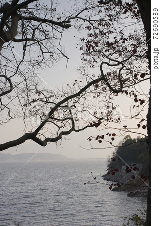 1 Jan 2006 the landscape of Plover Cove Country Park 72690539