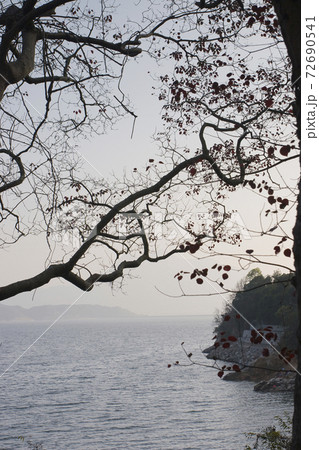 1 Jan 2006 the landscape of Plover Cove Country Park 72690541