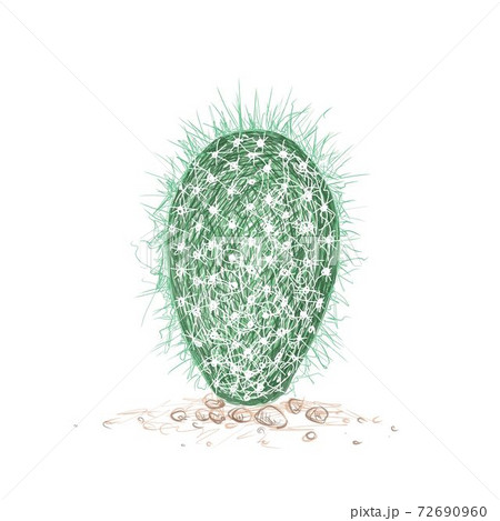 Hand Drawn Sketch of Old Man Cactus Plant 72690960