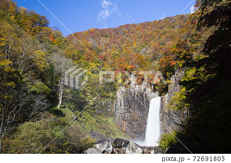 新潟県妙高市 紅葉と青空の苗名滝の写真素材
