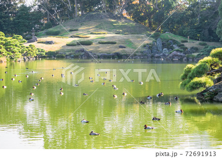 東京都 江東区 清澄庭園 大泉水と富士山 秋の風景 都措定名勝 東京都 江東区 清澄庭園 大泉水と富士山 秋の風景 都措定名勝 72691913
