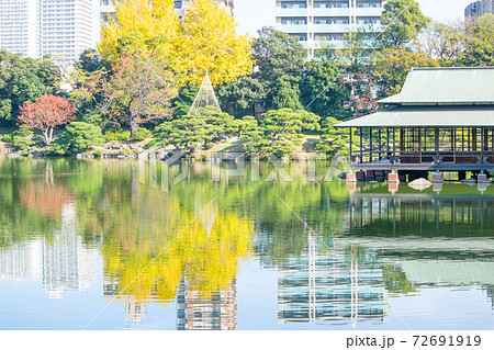 東京都 江東区 清澄庭園 大泉水 中の島と涼亭 秋の風景 都措定名勝 東京都 江東区 清澄庭園 大泉水 中の島と涼亭 秋の風景 都措定名勝 72691919