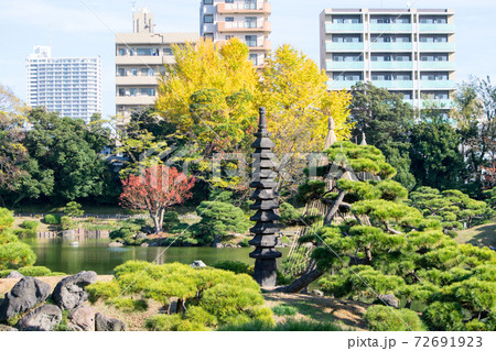 東京都 江東区 清澄庭園 松島と多層塔 秋の風景 都措定名勝 東京都 江東区 清澄庭園 松島と多層塔 秋の風景 都措定名勝 72691923