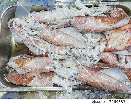 Frozen fresh squid on ice selling at the seafood market 72693334