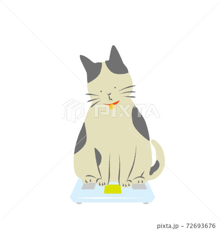 体重計の上の太り気味の猫のイラスト素材 72693676 Pixta