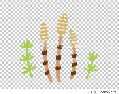 つくしの手描きイラスト つくしの手描きイラスト 72693776